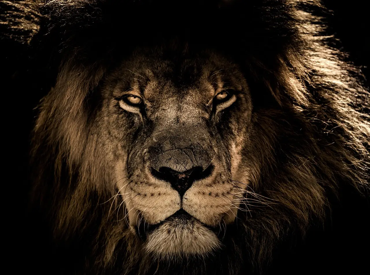 Cannes Lions 2026 unveils the PR Lions shortlist, featuring 113 finalists that show how reputation, influence, storytell