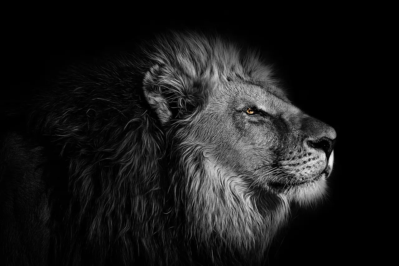 Cannes Lions 2026: Asia Winners — LBB - LBB - Little Black Book