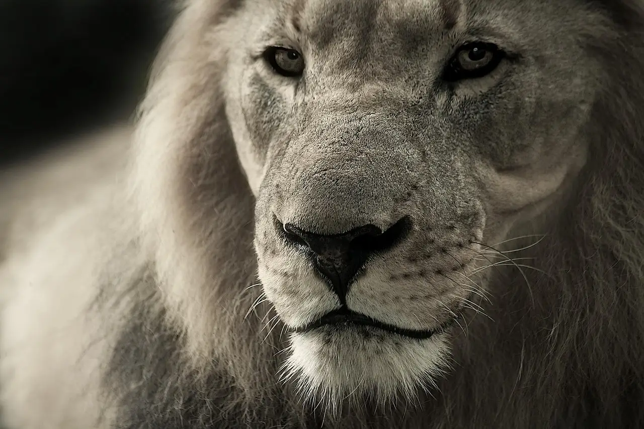Cannes Lions shortens festival to five days with 'simplified' awards structure - Campaign UK