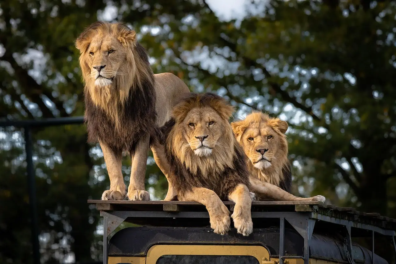 Cannes Lions Day 5—Trade groups join forces on AI governance, agency executives get evicted from tent - Ad Age